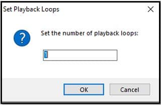 Set the Number of Playback Loops