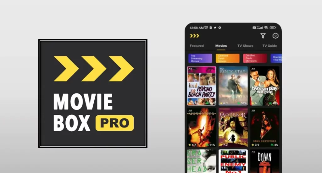 Moviebox PRO App Image