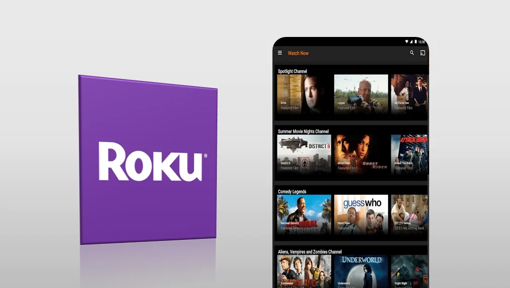Roku Channels App Image